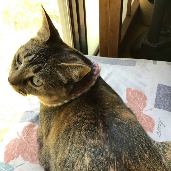 E49b9a65 77f0 4c60 8140 41314f106c9a 1619145021038