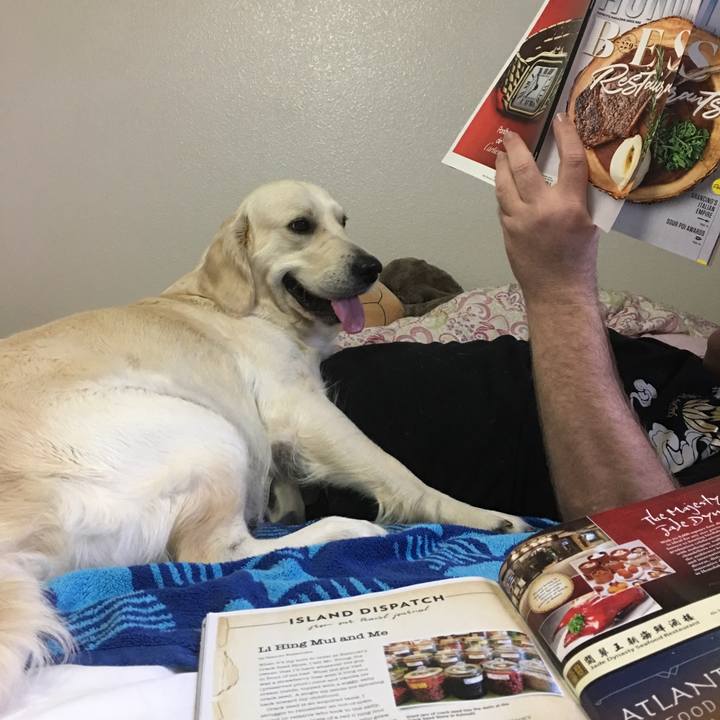 E49bb97e bb36 46f9 8de9 902956e491eb 1520739170335