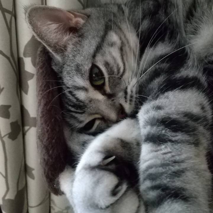 E49bbf4e 5823 4456 be9d 02f865b9d88c 1671099153206