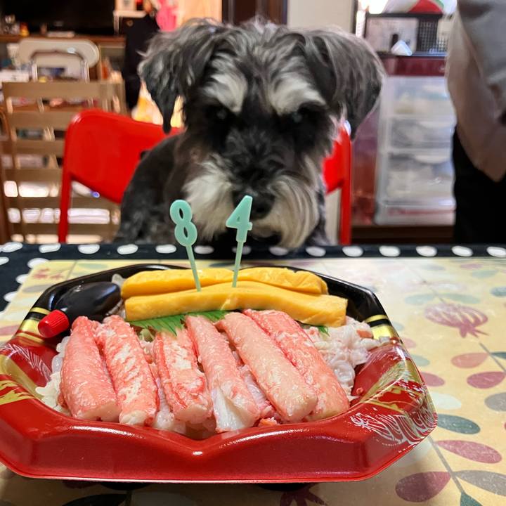 E49bd117 a314 4592 8313 643e7c0d06d0 1773493949104