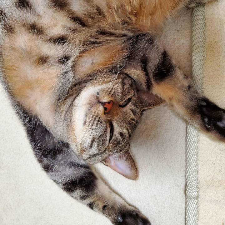 E49c011c ec7f 431d a1c6 993422186ddc 1707404521382