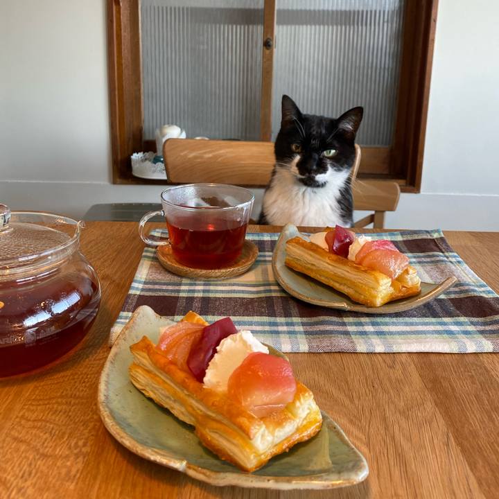 E49c194c 98b8 4344 93bb a2afa990c7cb 1635050379510