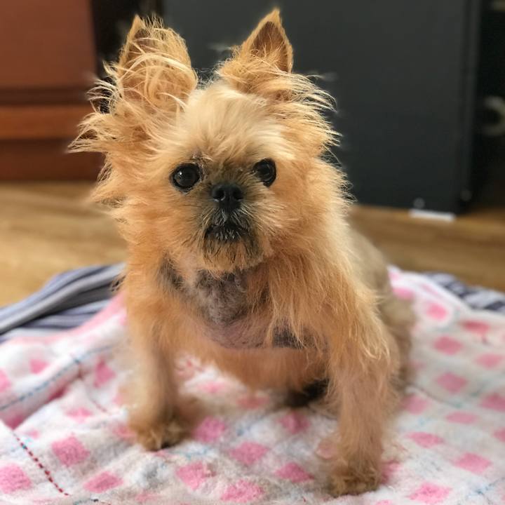 E49c1e96 fcc5 4713 a0bd fbee81365c29 1567039992390