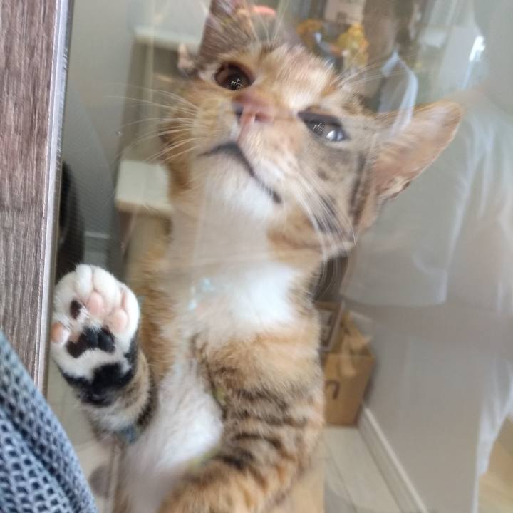 E49c6ff4 ccd5 4ced a332 9aedec741749 1567252710673