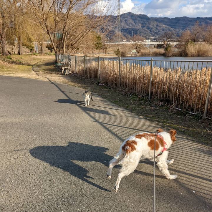 E49ca358 7e30 43b2 9080 1d0aa54ba2d2 1644136261540