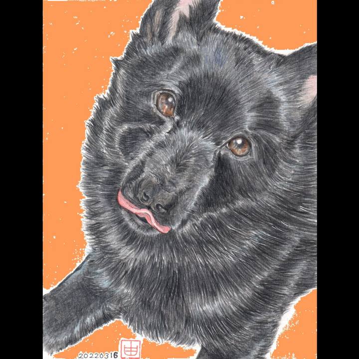 E49cf56c 192f 4a84 b8f8 4eba3694a79c 1647555753433