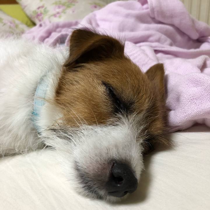 E49d118d 2185 48b2 b1a3 7e84090de46b 1531670910920