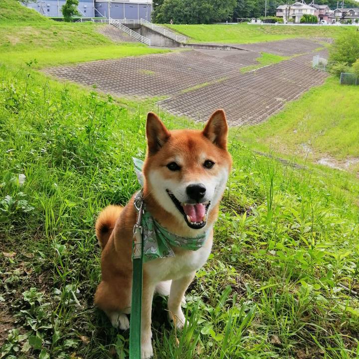 E49d1d79 cacc 4148 a2bd 0b64d7482990 1624175796115