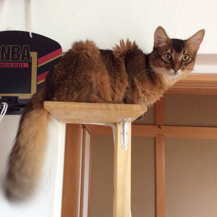 E49d353f c05f 4aff ace0 912ba877236d 1567648796005