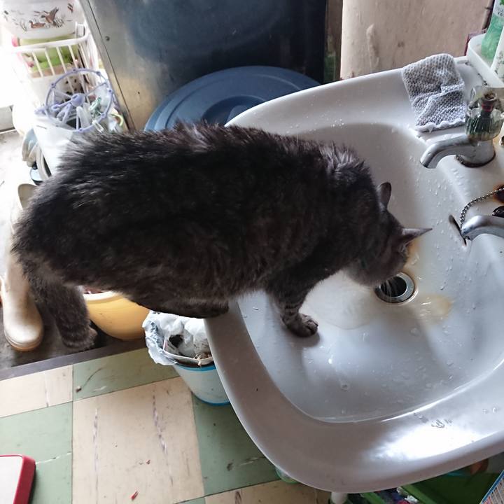 E49d623e 4d15 4e2f ab86 59a71c437b1b 1574568710128