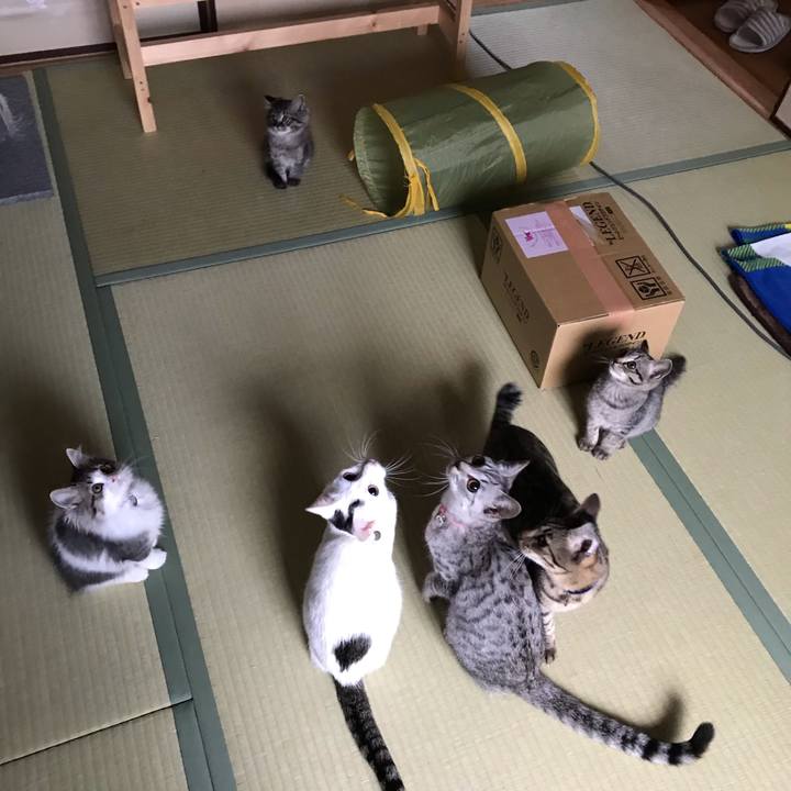 E49d64a7 5082 437d 80cf c0735a679af8 1574387052108