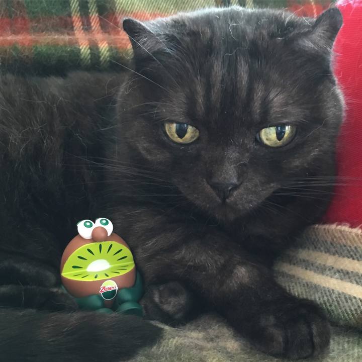 E49d6b63 3034 4f28 9abf f06f5355268a 1567321984823