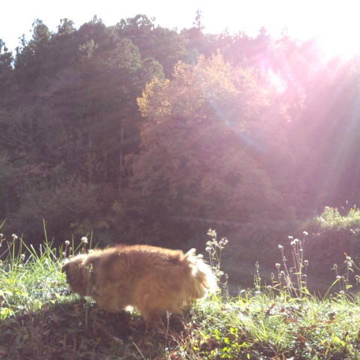 E49d75bb 3e2e 4442 9a5f f89c495cd102 1556164679098