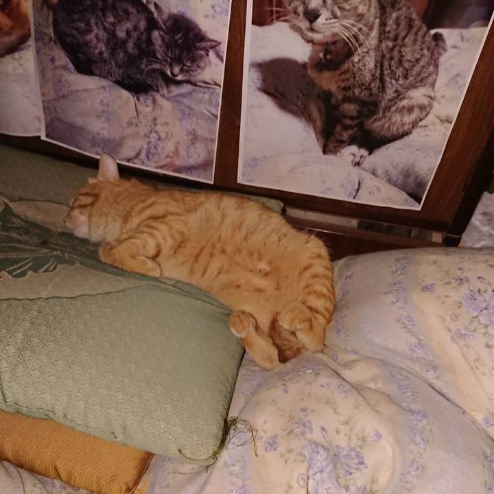 E49db4d2 e365 485c a8a2 cab36e67960c 1657312611735