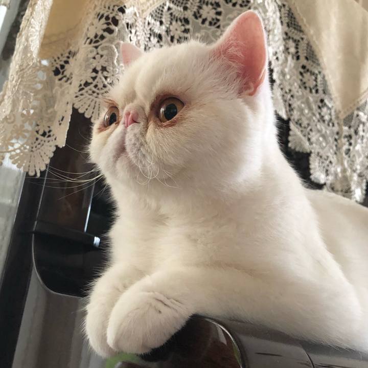 E49dd8fe ec5a 48f1 8277 e4da7f536cd8 1593346594992