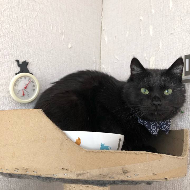 E49dfc9d 1810 4280 a5d8 ff6445061187 1584656086161