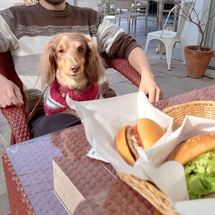 E49e4295 0d78 411b 904d b974bbc0f8ac 1676172004374