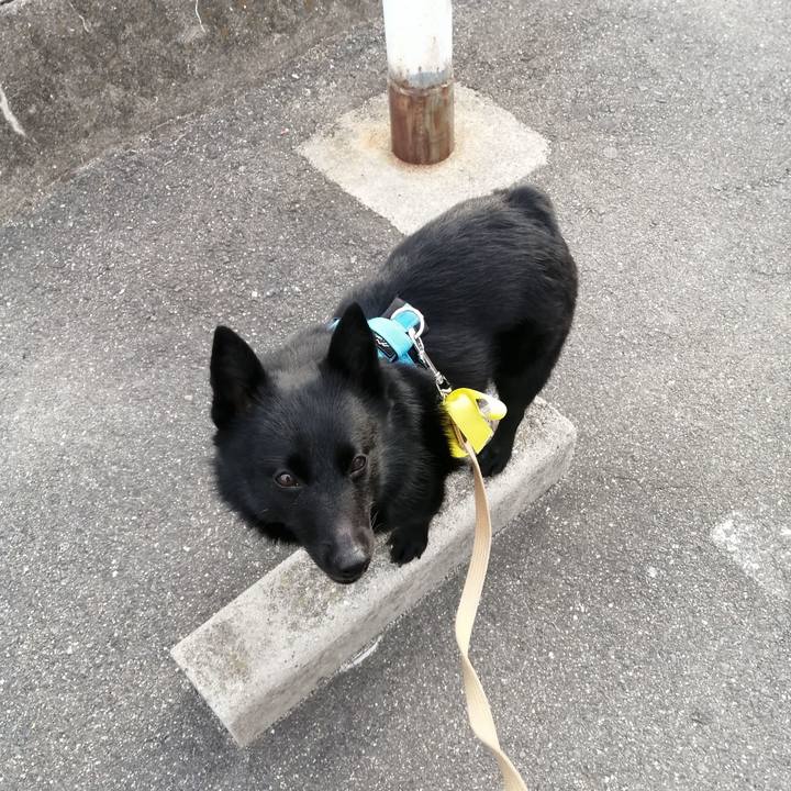 E49e503b 19a7 40aa 8d86 9b8fdae36f85 1654809789733