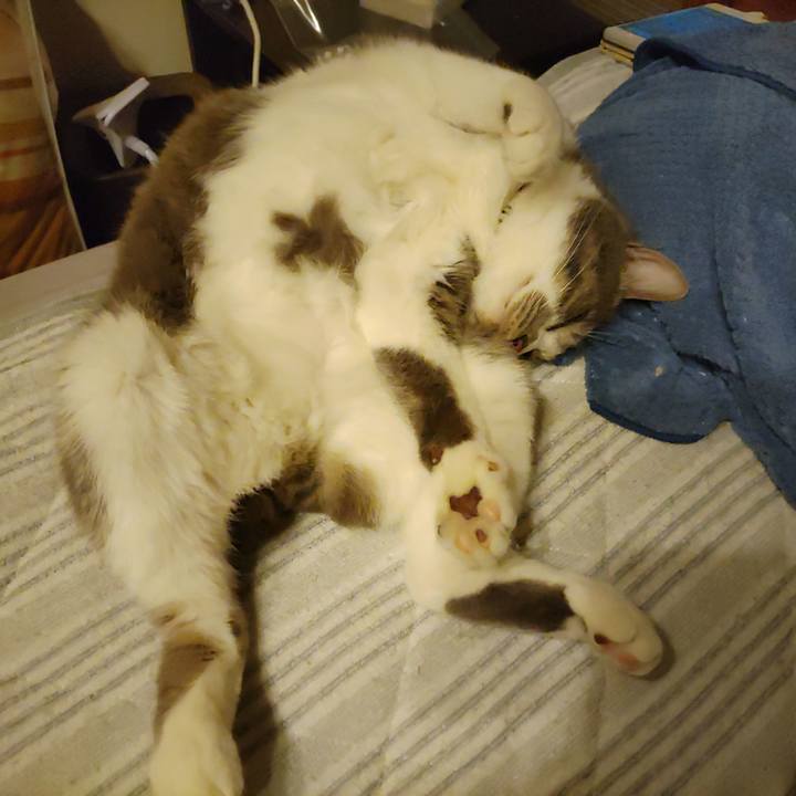 E49e7821 6e94 49fe b4f2 6ca7525d884e 1715522876139