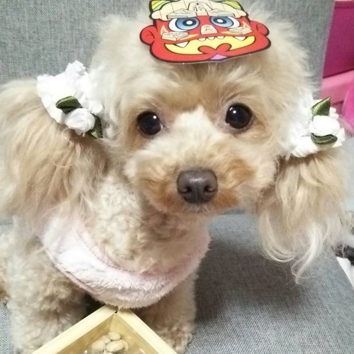 E49e843f 6596 4434 8fcd 3b35630ef34b 1549198725280