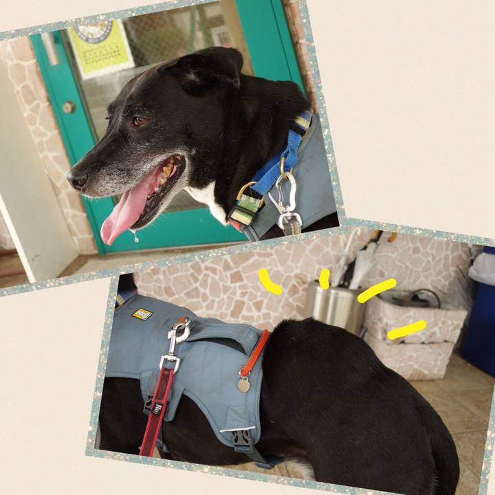 E49e875c 811b 4318 8ec1 a557cff3dd2b 1724844960692