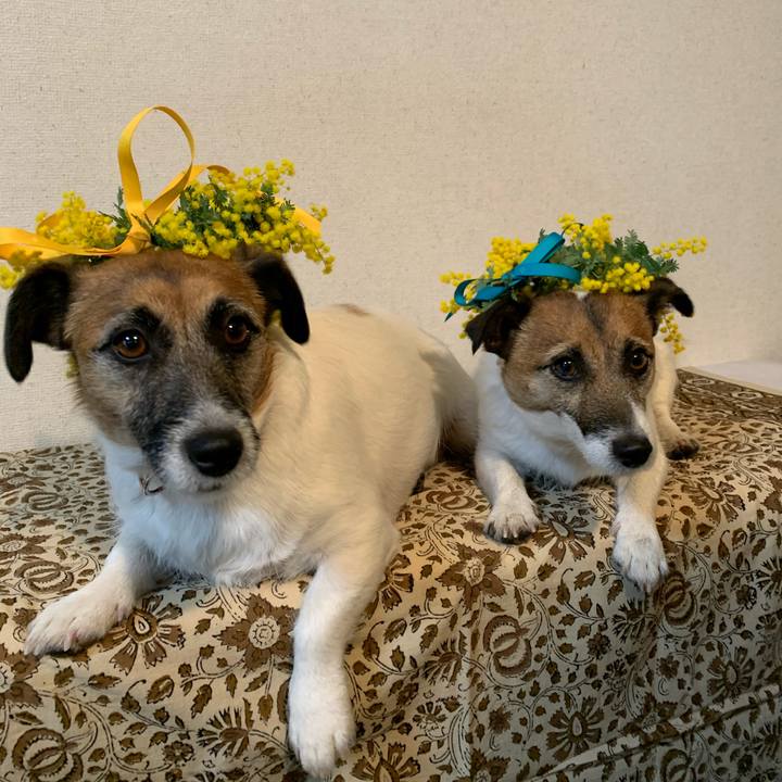 E49ea248 f0c6 435a 9fd3 28c2ae41f3f2 1614069542029