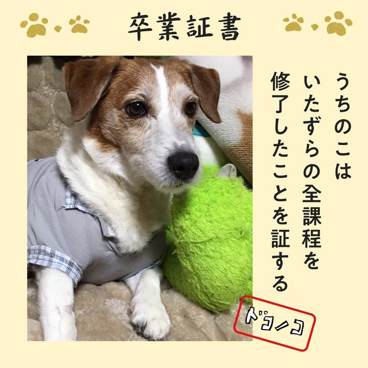 E49ea28b 195a 4ff9 aa18 4dced5b28918 1771980612097