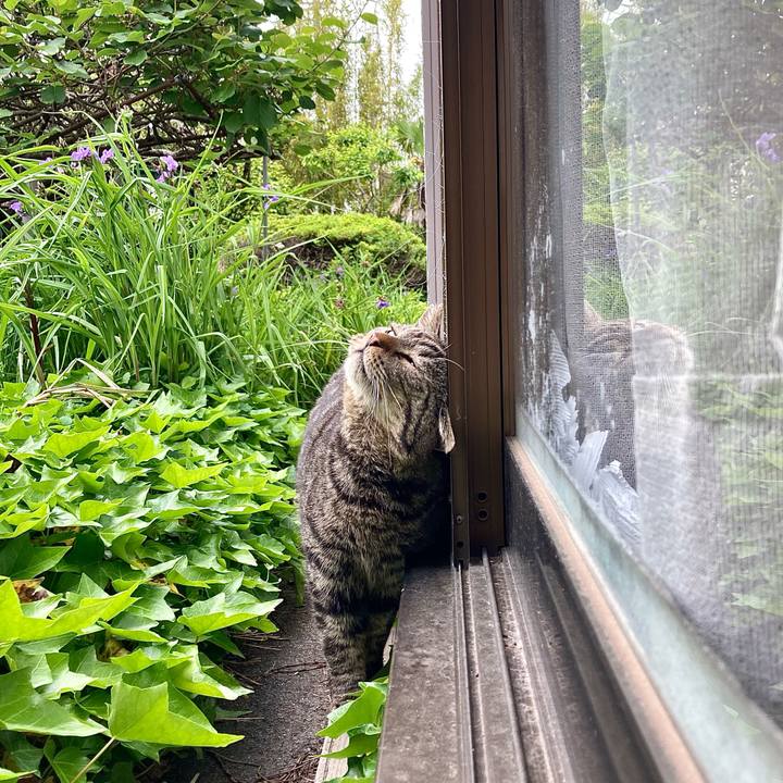 E49eb508 255e 4d93 8a51 79eea0de7a0a 1653802754243