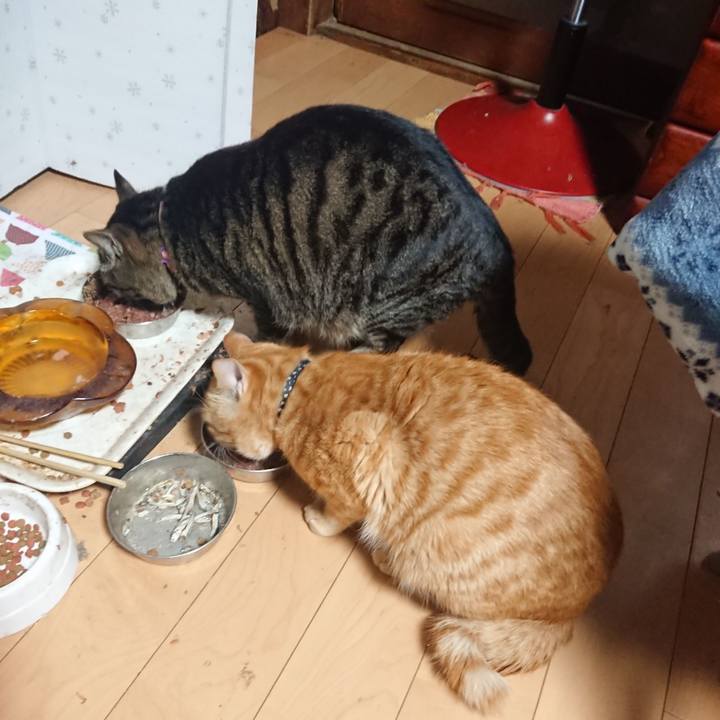 E49ebd64 a54c 4a25 ad8f 72fcb7f135b9 1647550391297