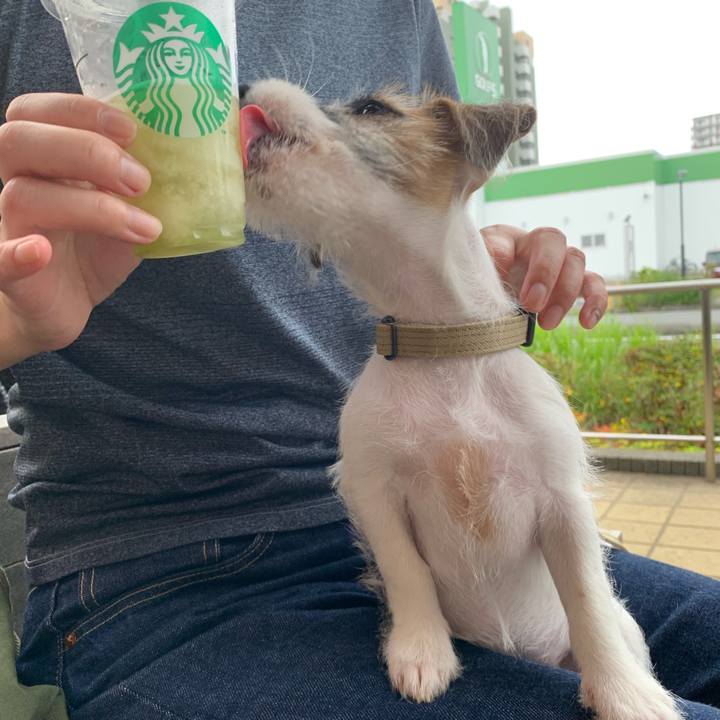 E49ed081 8967 47a0 942d 65b75c1eb640 1561109715780