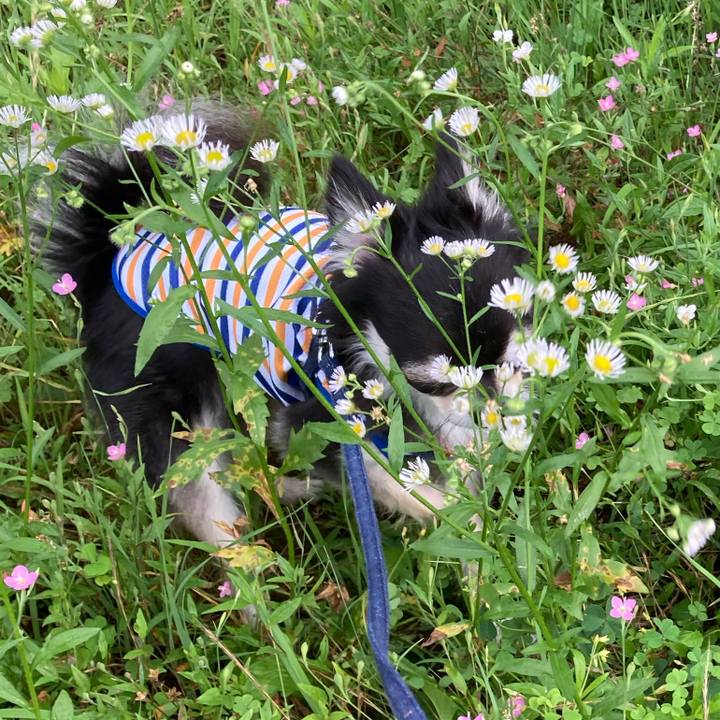 E49ee8f0 92b7 48b7 b156 e256b2d8912d 1688222247089