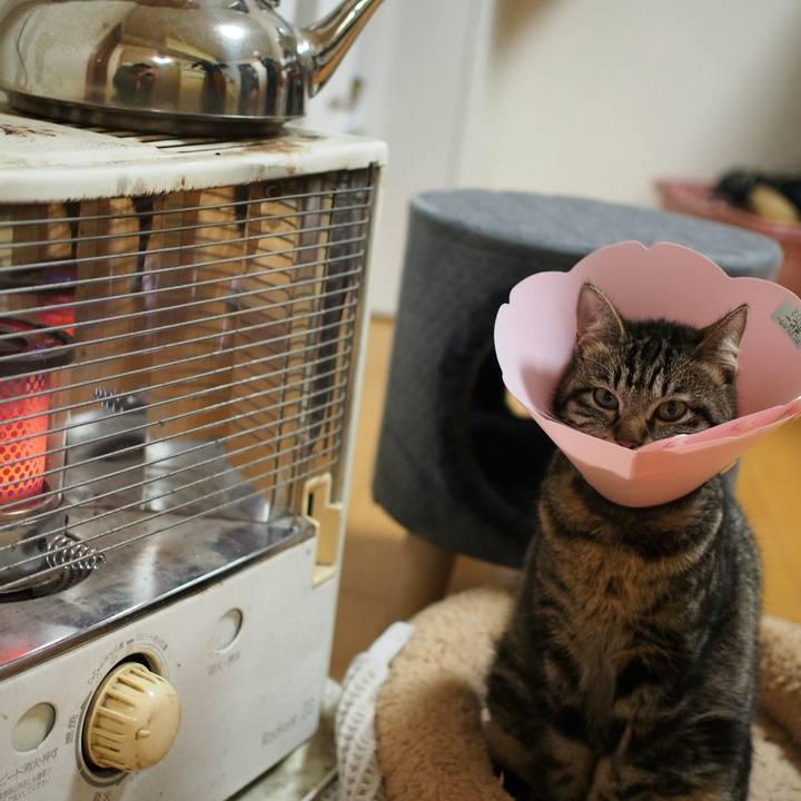 E49f1e97 efee 4217 846a 583f7ff71212 1519222161620