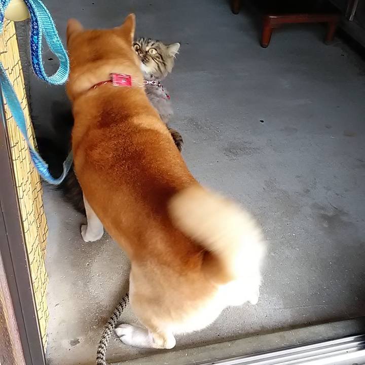 E49f2a54 3261 49d5 8c52 a1e3b69c3348 1615336359558