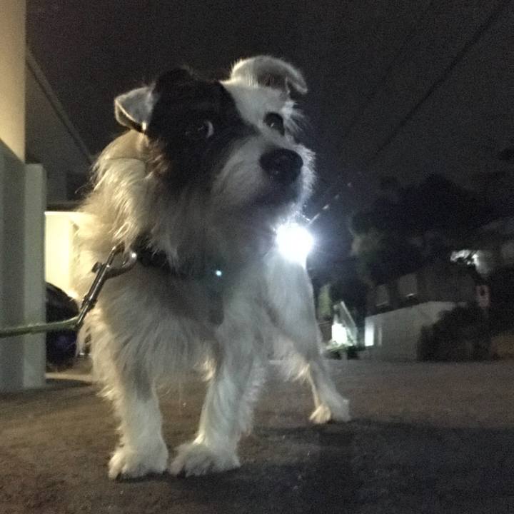 E49f3485 4c29 4960 a18f 940161ed3dea 1536155731688