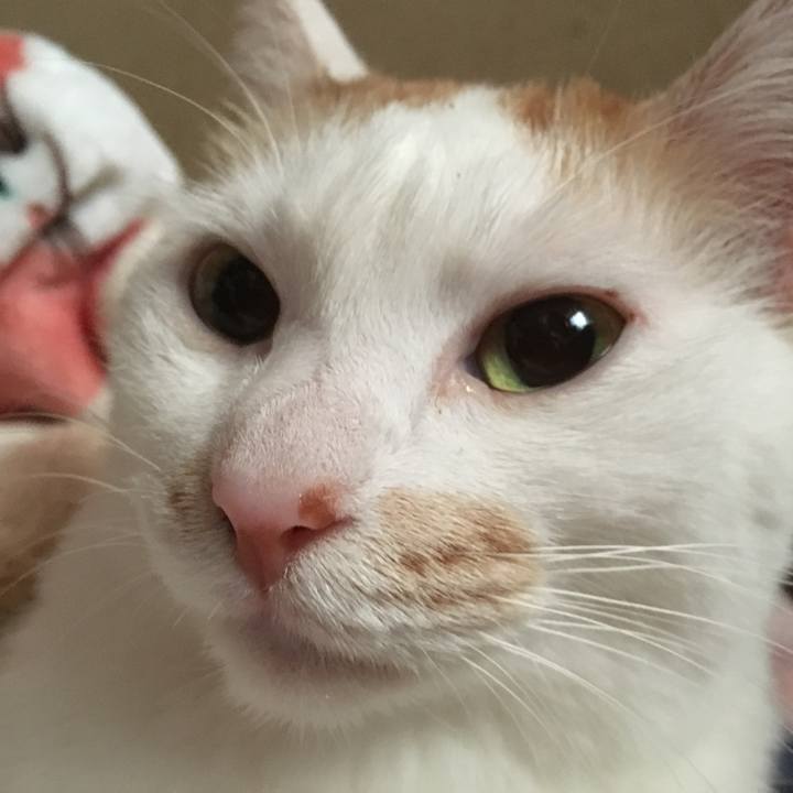 E49f527c 3afb 4f69 bcc5 8214b5f31909 1524950220578