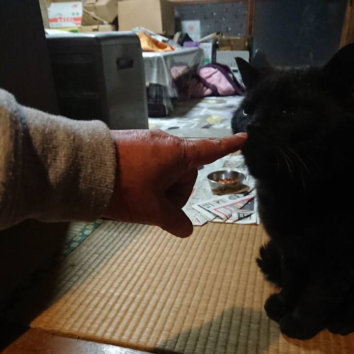 E49f816e 77dd 414f a4ce 3ebca15e7087 1619261790359