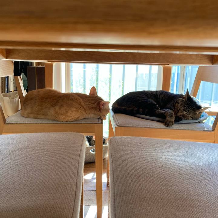 E49f9782 3078 4f9d b90f ba06bc7f01bc 1764399577770