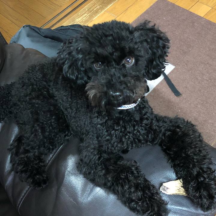 E49fa745 e20d 41a7 aa8d 45bb4ffa1c5a 1511413283033