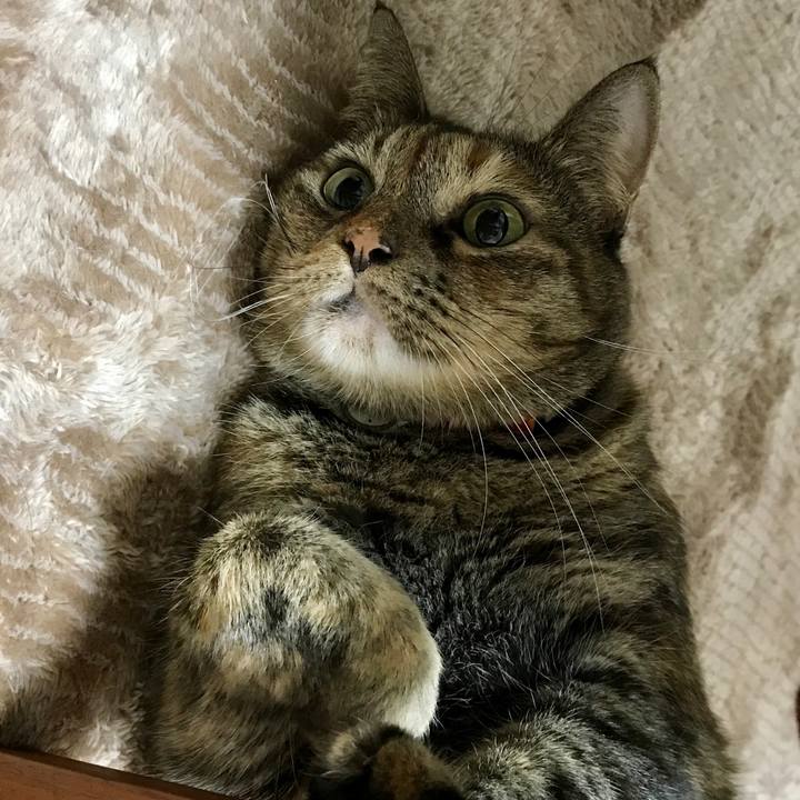 E49ff499 d171 4cd6 8e2d 4a2f9e5b76c3 1509274307519