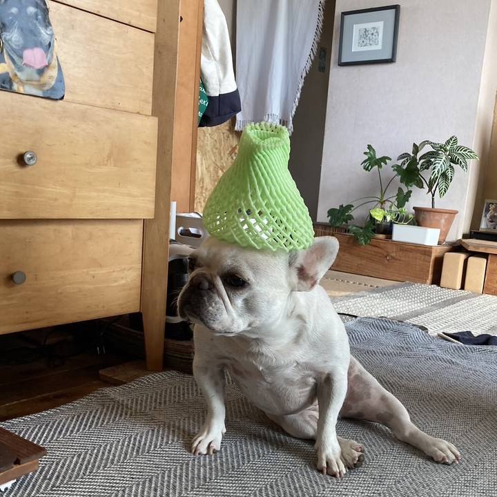 E4a054ed 8276 49ba b739 fc662b4ba14e 1727867627398