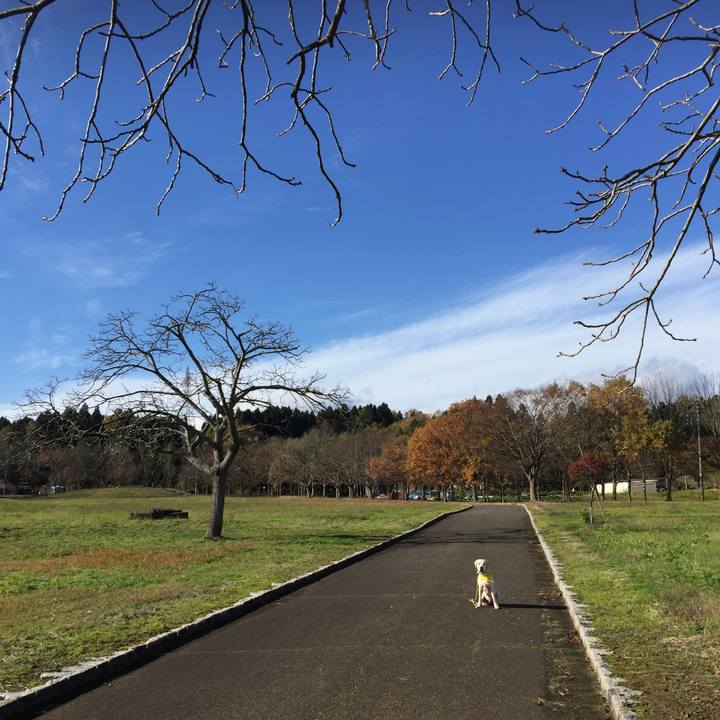 E4a061a0 f939 4328 a10d 421b68d9730f 1543045894115