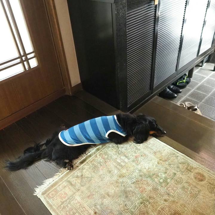 E4a06a94 fae7 4919 af4b ea0e5812e236 1564821970634