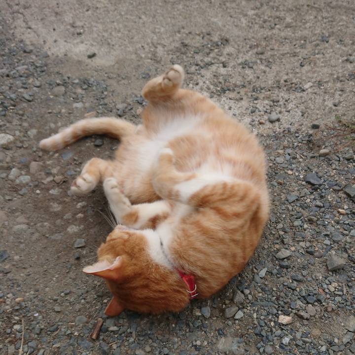 E4a0b312 6304 4e5a b8c0 15745912ab17 1569721802748