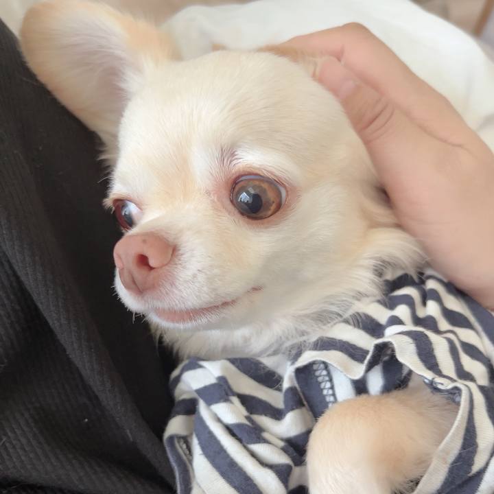 E4a0be13 f530 4597 8530 b201c7f1f810 1727600197471