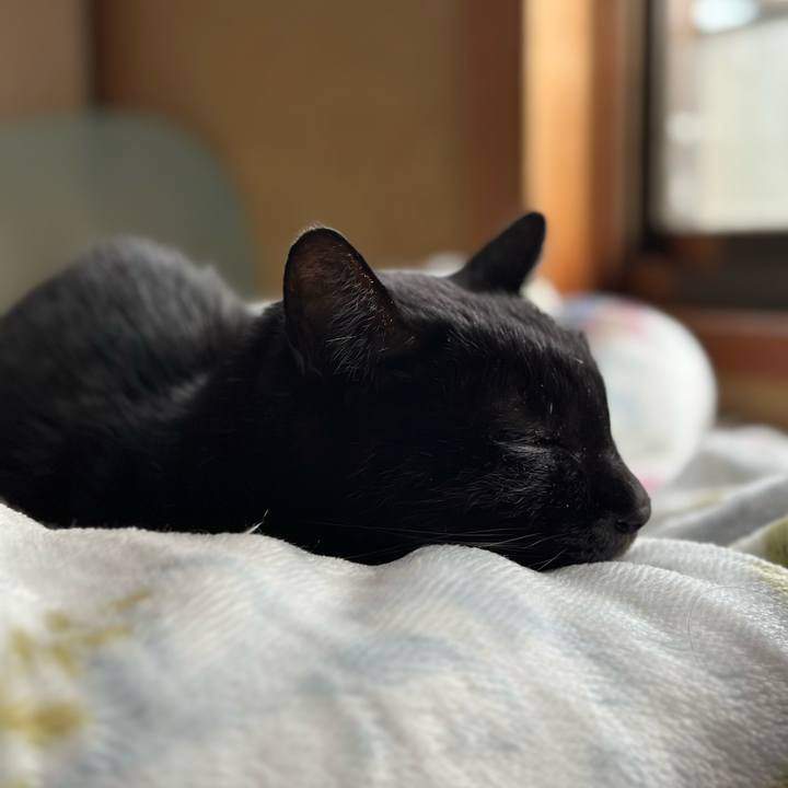 E4a0c00d 5ae6 44db 9eba 46853e0f59b1 1701394586305