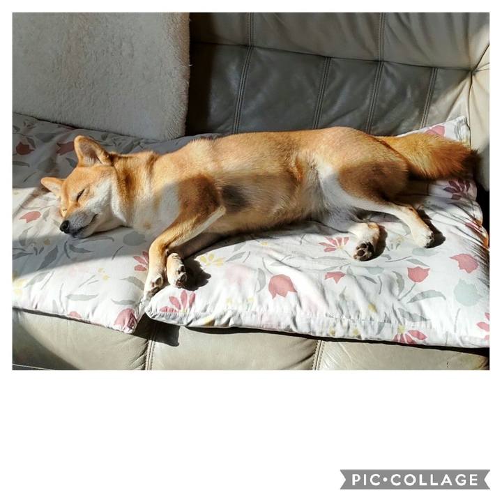 E4a19af5 62a1 44a7 841a de2b784aa080 1668041285235