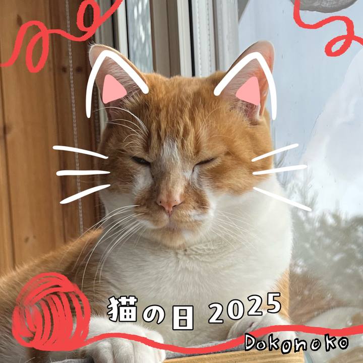 E4a1e214 5020 4205 9959 73def4cbc978 1740226467112