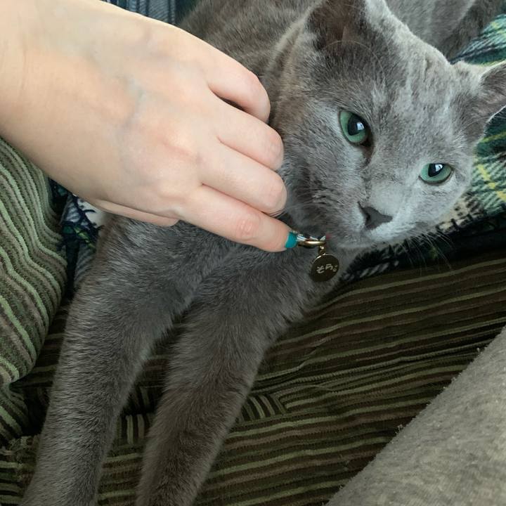 E4a222c5 7024 4179 9ef9 638f54428e0c 1588196579902