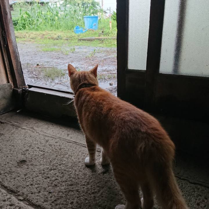 E4a270c1 5b20 4d97 ac26 e3e92014b2e4 1595840151765