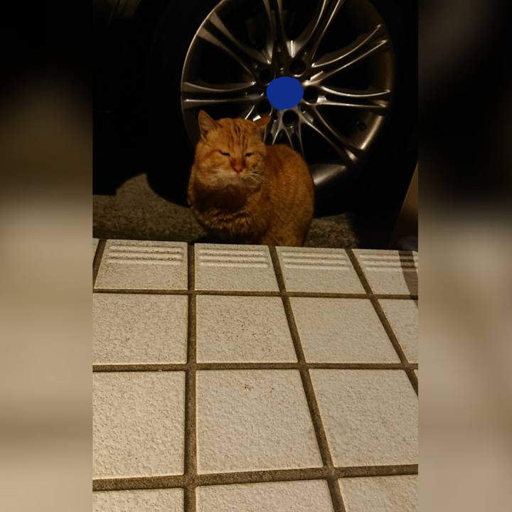 E4a2a236 1499 426c 913a ba91b3174388 1613732791404